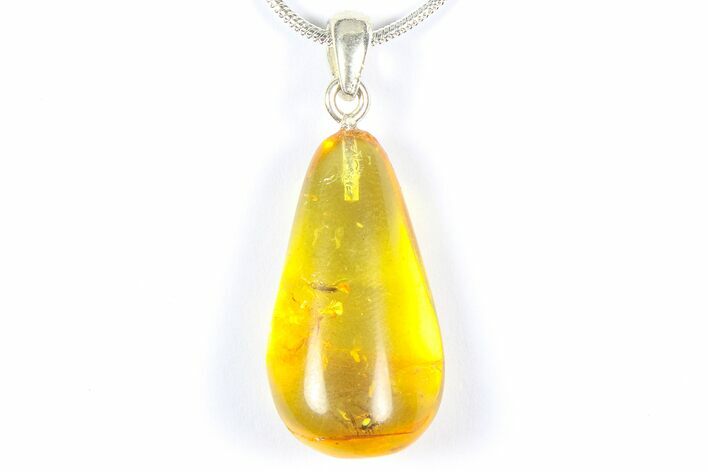 Polished Baltic Amber Pendant (Necklace) - Contains Insects! #368893